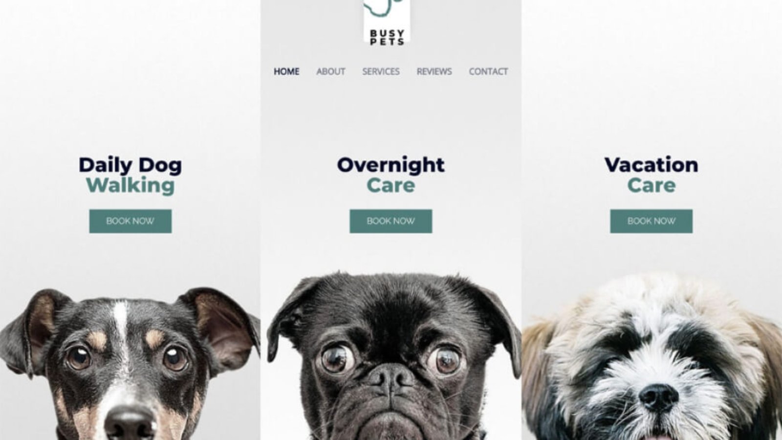 digital-download-store-theme-product-featured-image-8